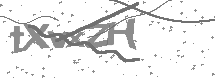 visual captcha
